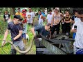 KING COBRA SA VILLAGE