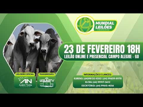 LEILÃO AO VIVO - MUNDIAL LEILÕES A MÃO DE DEUS ESTA AQUI - CAMPO ALEGRE DE GOIÁS - 23/02/2026