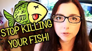 Why Is My Fish Sick?! Cycling Your Aquarium With Fish | The Nitrogen Cycle
