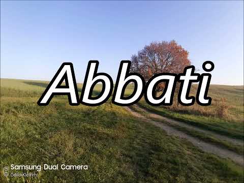 ABBATI as a surname its meaning and origin