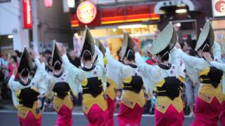 preview picture of video 'AWA-ODORI in NIIZA City 2013 【HD Video】第31回 新座阿波踊り大会'