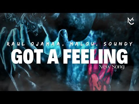 Raul Ojamaa, Malou, Soundy - Got a Feeling (feat. NOËP) | Garage | MC - No Copyright Music