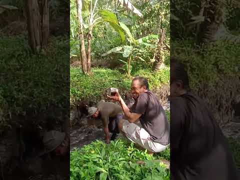 Kerja Bakti Warga Desa Keniten Membersihkan Lumpur di Saluran Irigasi Watupala Melung