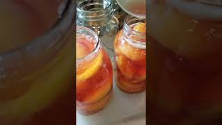 Canning Peaches most natural way!