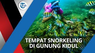 Pantai Nglambor, Lokasi Snorkeling di Gunung Kidul