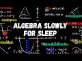 Literally Everything About Algebra Explained Slowly (For Sleep)