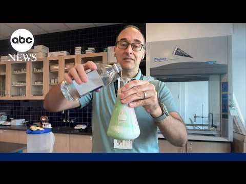 Chemistry lessons that are fun and accessible on social media