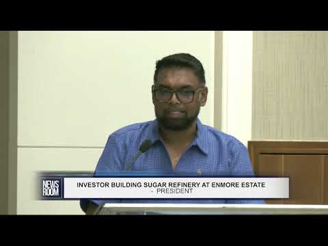 Description or Alt Text