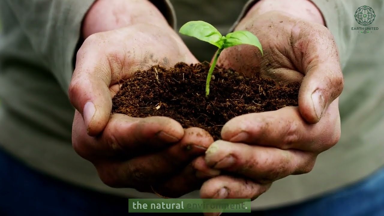 The Origins of Permaculture