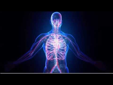 2017 05 21 AM Public Teaching in Vietnamese - Buổi giảng công cộng bằng tiếng Việt