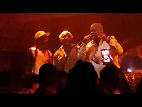 On the mic Ragga Twins Tippa irie Horseman