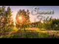 Summer Field with Mourning Dove Cry Ambience | Childhood Ambience | Bird Song Ambience
