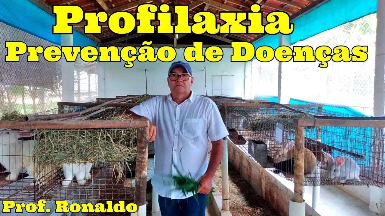 A Profilaxia na criação de coelhos| prevenção de doenças na criação de coelhos.