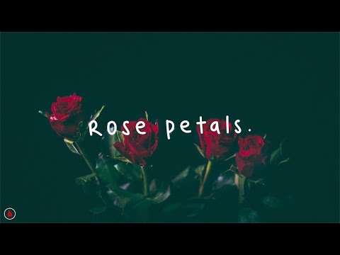 download lagu mp3 mp4 Rose Petals Lyrics S Carey, download lagu Rose Petals Lyrics S Carey gratis, unduh video klip Rose Petals Lyrics S Carey