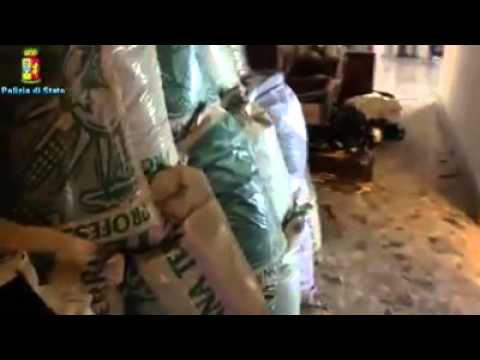 Prato, coltivazione di marijuana: quattro arresti