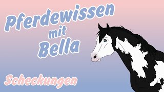 Pferdewissen mit Bella [PmB] - Scheckungen