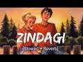 Zindagi Akhil - [Slowed and Reverb] Punjabi Lofi Song | Chill with Beats | Textaudio | Musiclovers