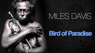 Miles Davis - Bird Of Paradise
