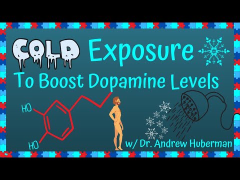 "Those Are HUGE Increases" | Shocking Cold Exposure Studies with Dr. Andrew Huberman