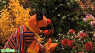 Sesame Street: I Wonder
