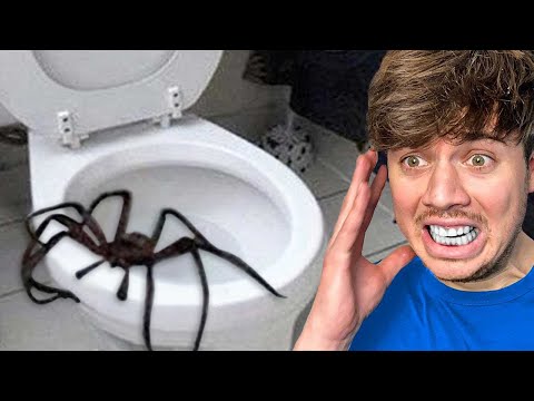 DIT ZIE JE NIET AANKOMEN!