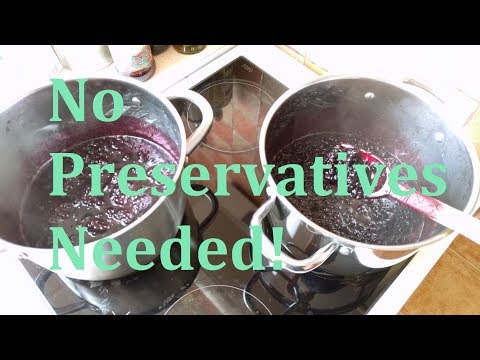 download lagu mp3 mp4 Elderberry Jam Recipe With Seeds, download lagu Elderberry Jam Recipe With Seeds gratis, unduh video klip Elderberry Jam Recipe With Seeds