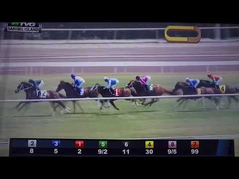 SANIBEL ISLAND ( G STAKES) 3/31/18 - FIGARELLA'S QUEEN !!