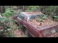 Exploring the abandoned junkyard with Sa