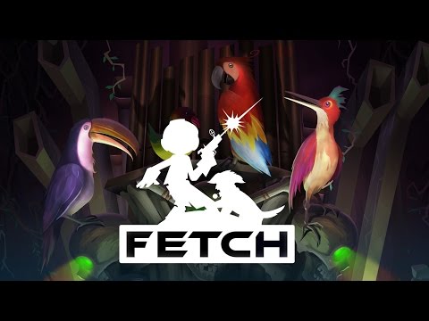 Fetch Video