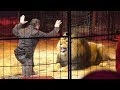 Martin Lacey Jr Clowns D Or Golden Clown Monte Carlo 2019 4K