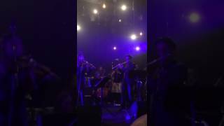 Space Dust ~ Poi dog Pondering