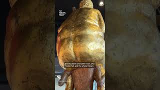 Gold-leafed Trump statue displayed at European Parliament