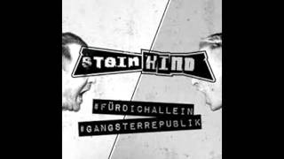 Steinkind - Gangsterepublik.  [ EBM / Dark Electro / SynthPop / Cyber / Goth ]