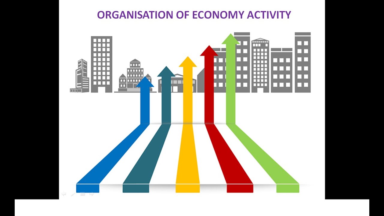 Organisation of economic activity||Economy system||Introduction of micro economics||Class12ECONOMICS