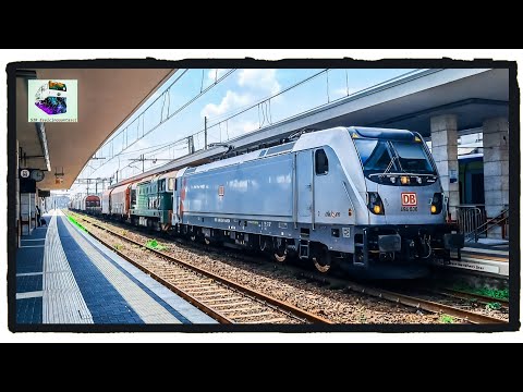 E494.530 Akiem/DBCI più DE520.010 con l'MRI Chiasso Sm. - Torino Orb. In transito a Novara