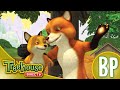 Franklin E Seus Amigos Franklin E O Mistério Da Begônia Azul Franklin O Organizador Ep 7