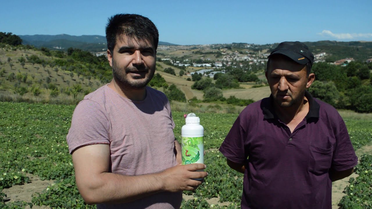 Bamya'da Sıvı Solucan Gübresi Kullanımı