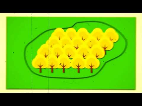 Conceitos Geográficos - Guilherme Durans (Clipe Oficial)