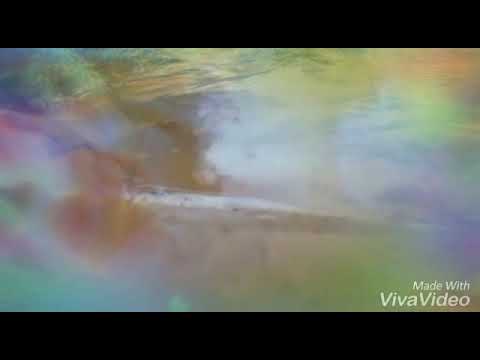 ARROYO YHOVY PARAGUAY(Tomas Artísticas)