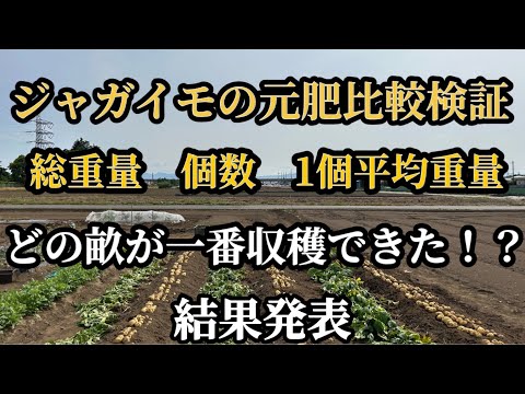 ジャガイモの肥料