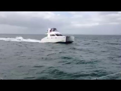 Schionning Prowler VT950 | Peppercorn