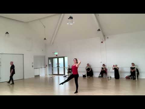 Silver Swans - Chorus Line - One