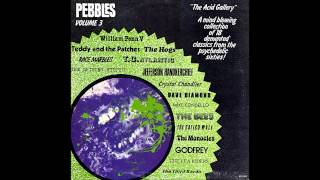 Pebbles Vol.3 - 13 - Monocles - Spider & The Fly