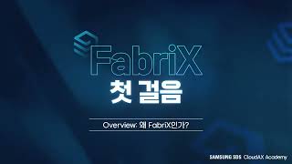 [FabriX 첫 걸음] 💻 1. Overview: 왜 FabriX인가?