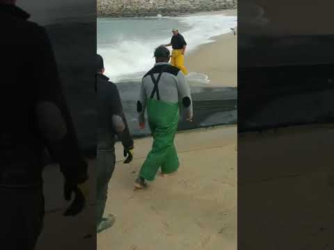 Morning fishing on the Atlantic coast, Espinho, suburb of Porto, Portugal