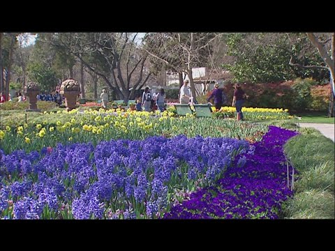 Dallas Arboretum brings back food and wine festival