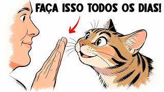 🐈 Faça essas 7 COISAS TODOS OS DIAS e seu gato saberá que você AMA ELE! 🐈‍⬛