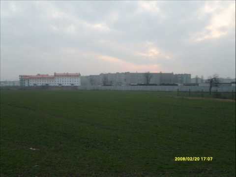 Sigma, Toni - Nie dziwi mnie.