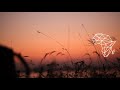 Da Capo  - Land of Cush (Original Mix) [Afro House / Madorasindahouse]