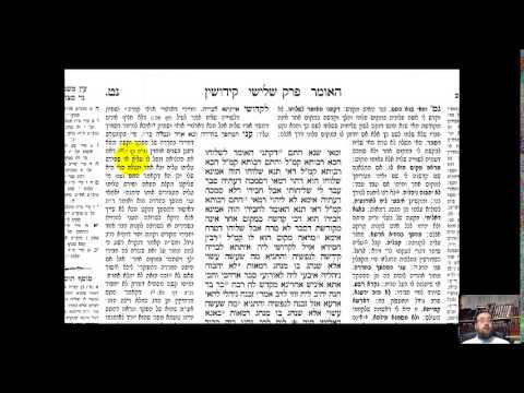 business ethics   oni hamehapech   shiur 1   rashi and Tosfos